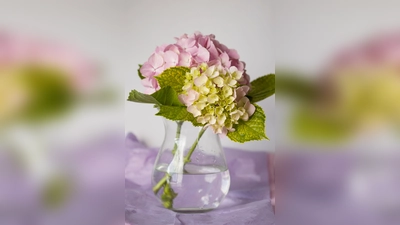 Blumen sind nach wie vor ein "Pflicht-Mitbringsel" zum Muttertag. Heuer sind insbesondere Hortensien gefragt. (Foto: CC0)