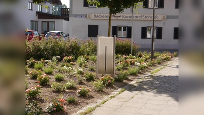 Die im Mai 2019 gepflanzte Blühfläche vor dem Aßlinger Rathaus. (Foto: Trudi Christof)