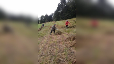 Mahd des Naturdenkmals &amp;quot;Lange Wiese&amp;quot; im Jahr 2019. (Foto: Günther Paschek)
