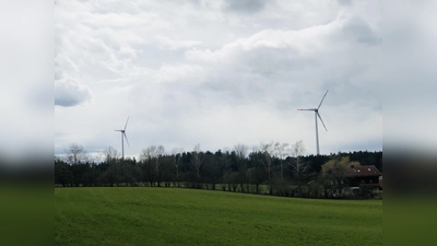 Die Schüler des Gymnasiums in Kirchseeon wünschen sich weniger Bürokratie für das Aufstellen von weiteren Windrädern.  (Foto: hw)