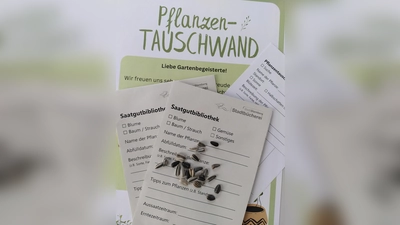 In der Saatgutbibliothek können sich Gartenliebhaber Umschläge mit Saatgut abholen. (Foto: Stadt Starnberg)