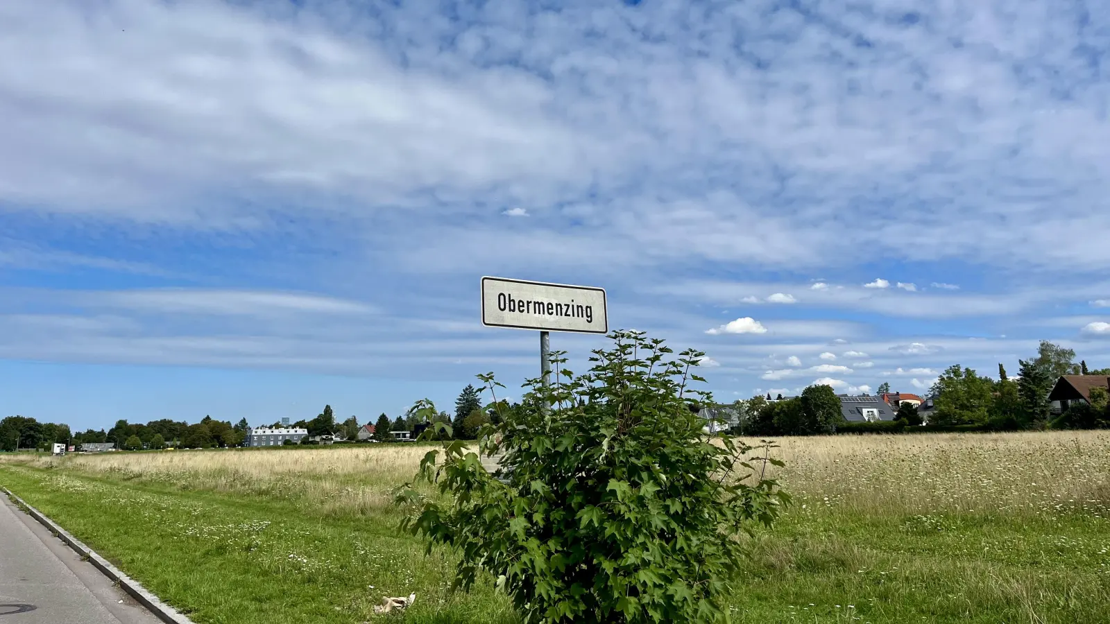 Das Erdbeerfeld auf Obermenzinger Gebiet soll mit einer Allacher Grundschule plus einer neuen Allacher Feuerwache versiegelt werden. Anwohner protestierten erneut im Bezirksausschuss 21 und kündigten Aktionen an. (Foto: Ulrike Seiffert)