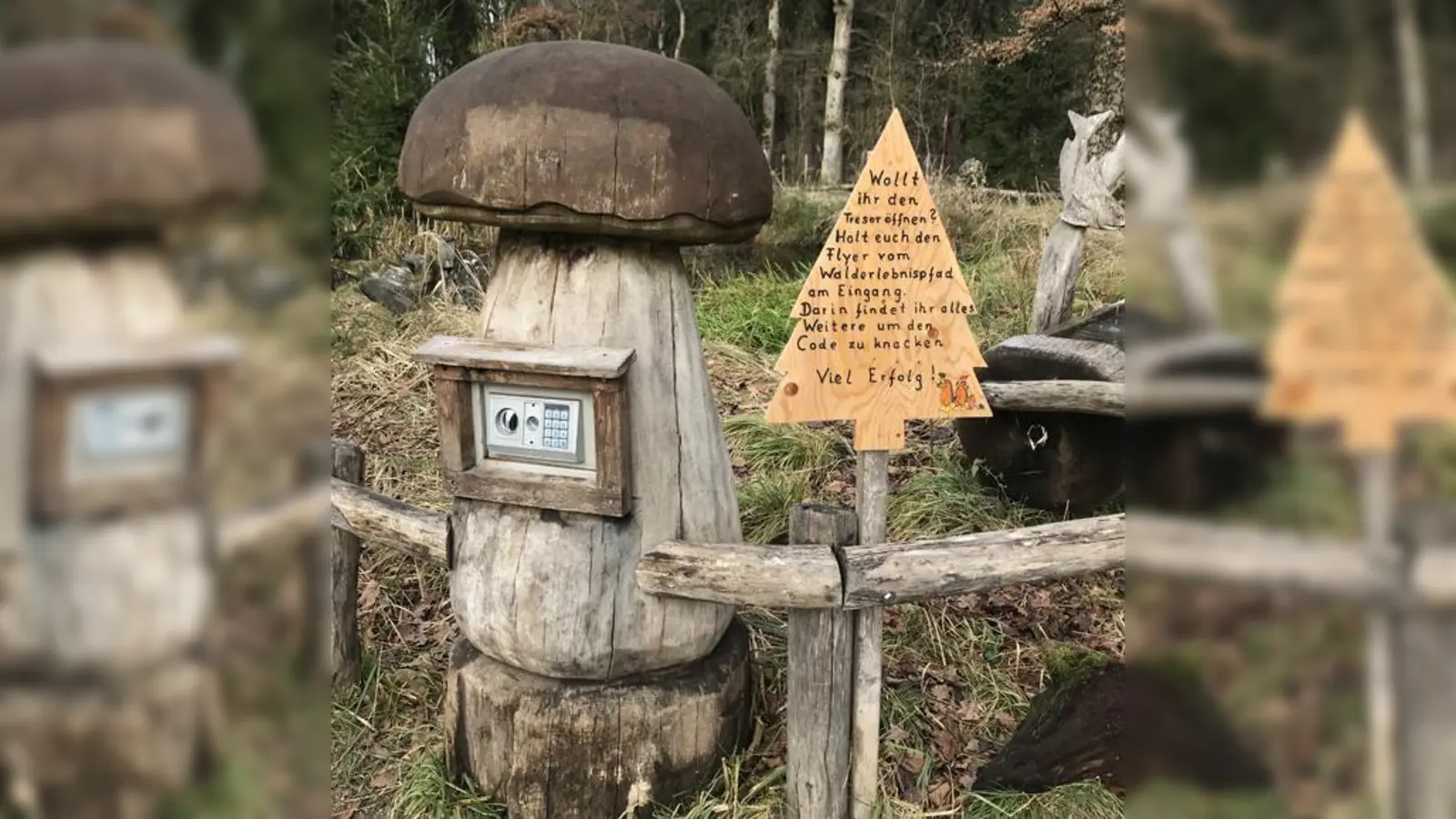 Das Walderlebniszentrum Grünwald bietet zu jeder Jahreszeit ein spannendes Mitmachprogramm zum Thema Wald. Der Eintritt ist frei.  (Foto: hw)