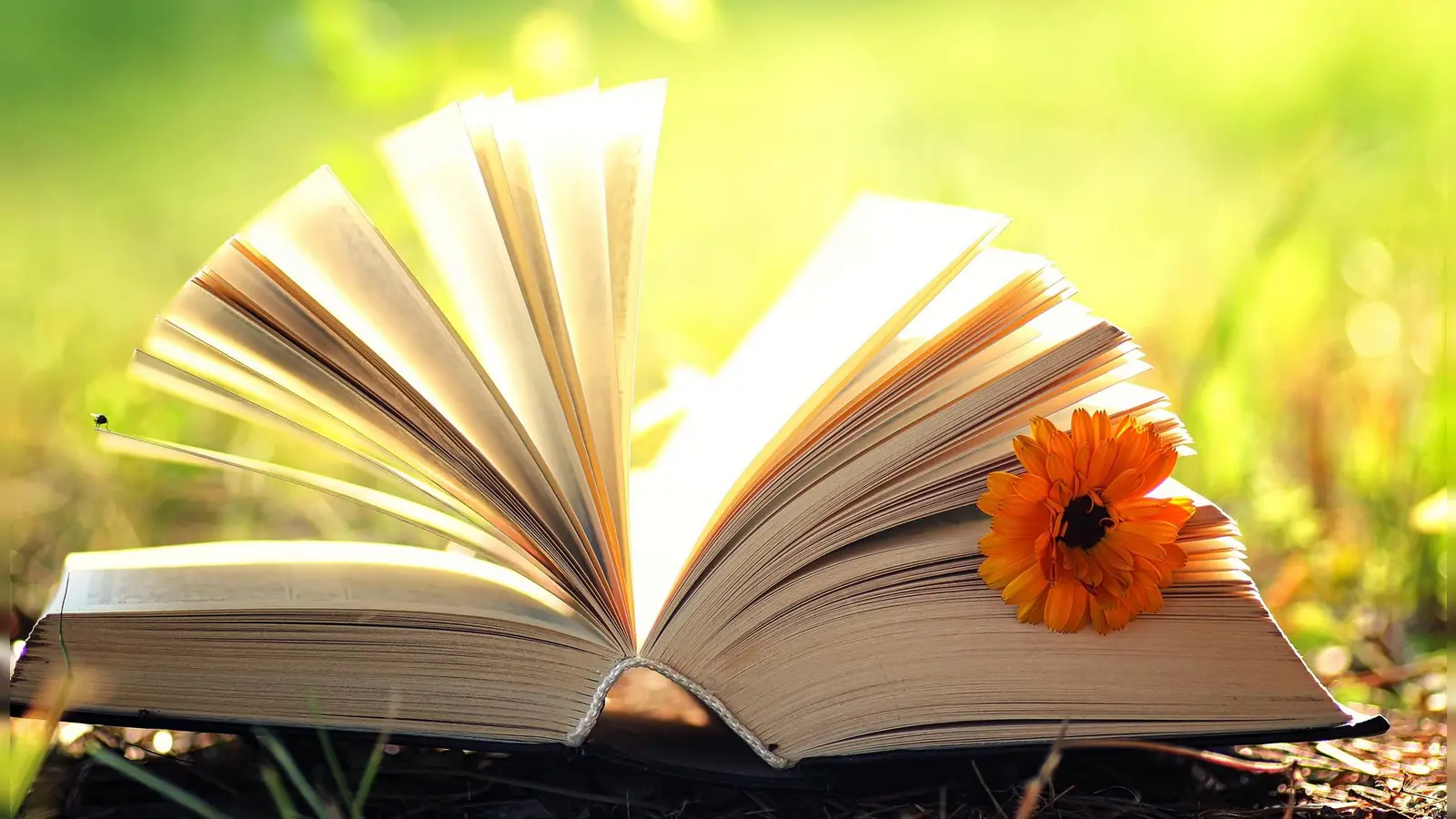 Die Auslese findet am Dienstag, 19. März, um 19.30 Uhr statt. (Foto: (c) alexkich)