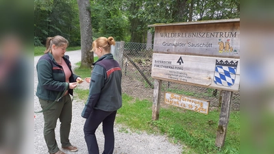 Xenia Rüskamp (v.l.), Leiterin des Walderlebniszentrum (WEZ) im Gespräch mit Eva Gottwald, momentan noch als „Freiwillige“ im WEZ Grünwald beschäftigt ist. (Foto: AELF EE)