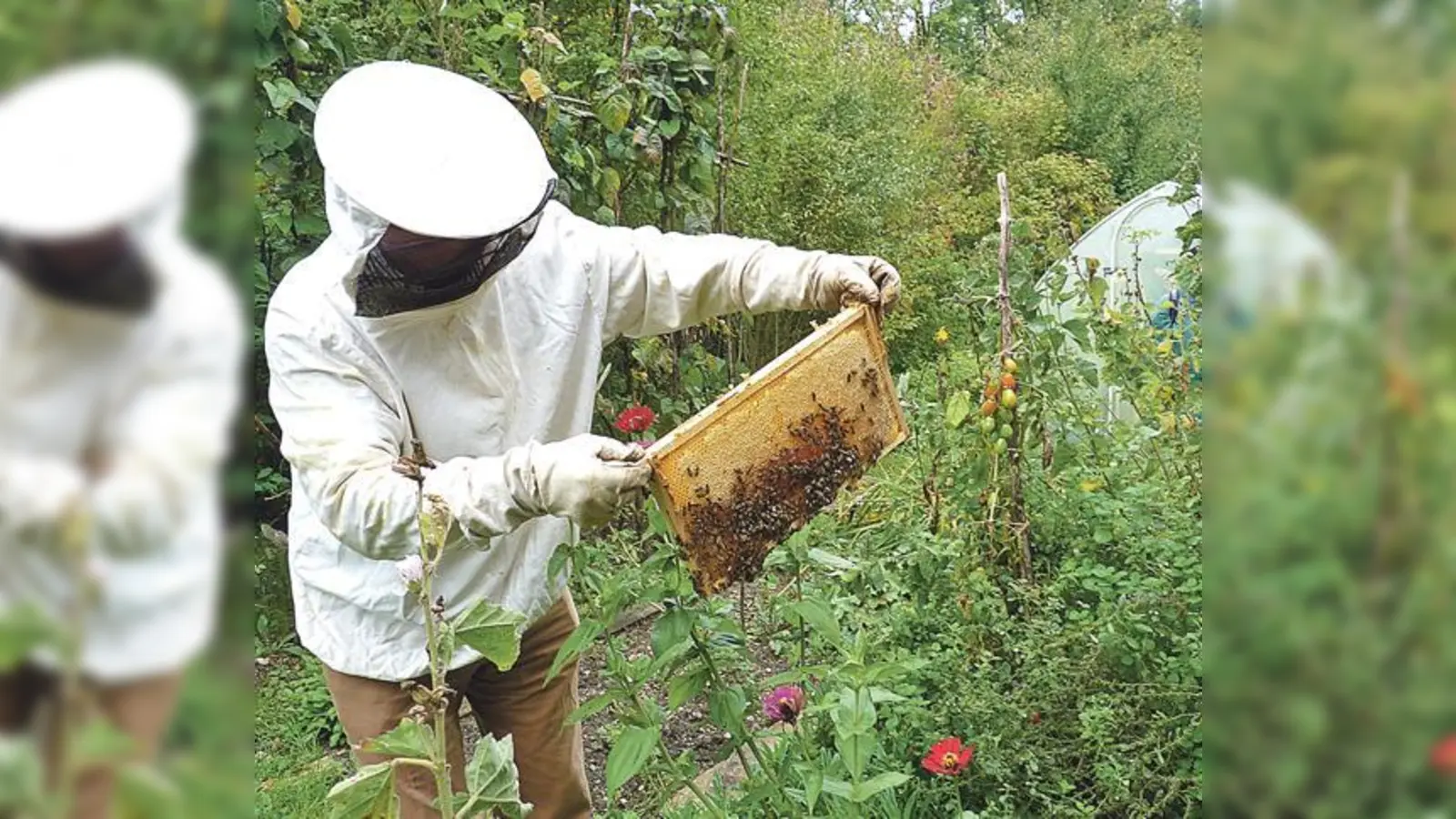 Im ÖBZ können die Kinder auch einem Imker über die Schulter schauen.	 (Foto: ÖBZ)