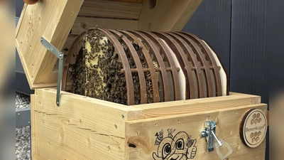 Zuhause auf knapp 2000 Quadratzentimetern: Ein Bienenvolk hat das Holzhybrid-Bürogebäude i8 am iCampus im Werksviertel bezogen. (Foto: R&S Immobilienmanagement)