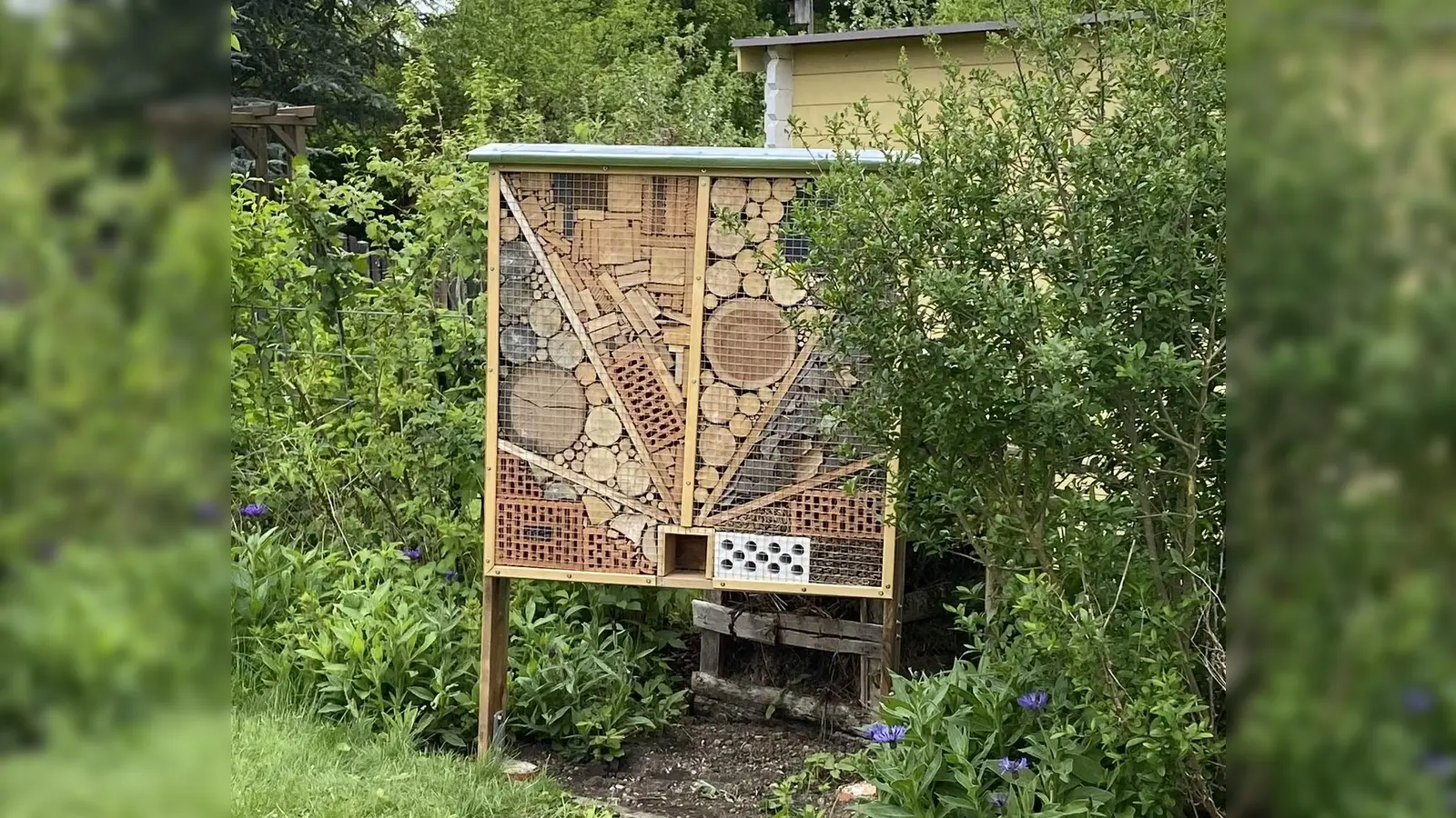 Der Bezirksausschuss Neuhausen-Nymphenburg (BA 9) will Insektenhotels im Stadtbezirk etablieren. (Foto: Beatrix Köber)