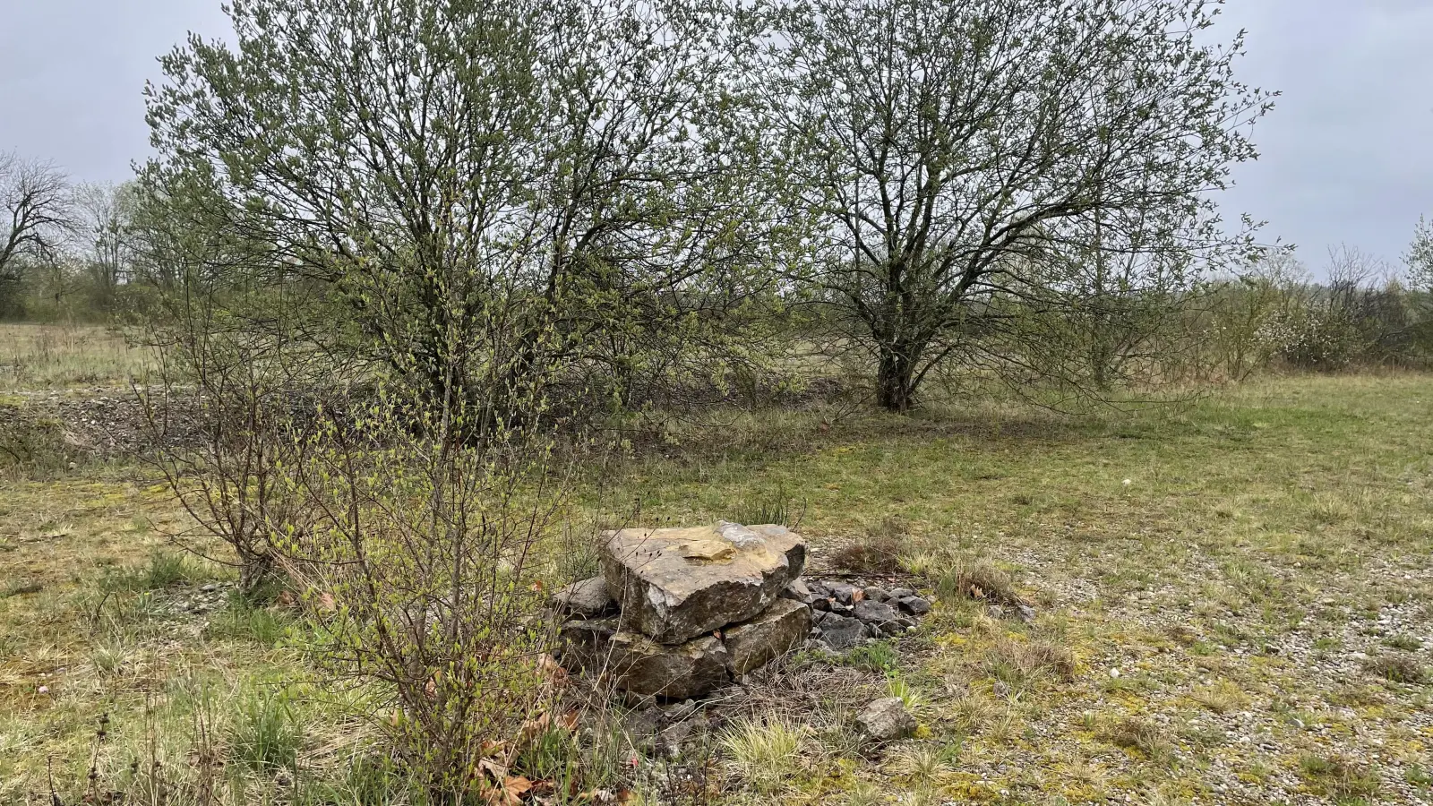In dem Steinhaufen können sich Amphibien verstecken.  (Foto: pst)