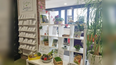 So sah das gefüllte Saatgut-Regal im Frühjahr aus. (Foto: Gemeinde Gauting)