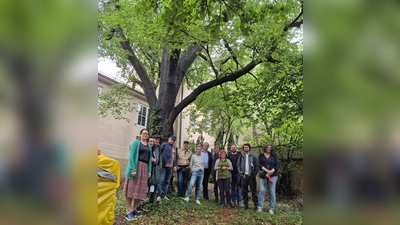 Mit MdB Sebastian Roloff haben sich die Fraktionssprecherin im Bezirksausschuss, Louisa Pehle, Mieterbeirat Philip Fickel und das SPD-Fraktionsmitglied Christine Depta ein Bild von der Lage in der Lindenschmitstraße gemacht. (Foto: job)