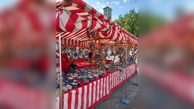 An den Ständen gab es jede Menge zu entdecken. (Foto: OBA)