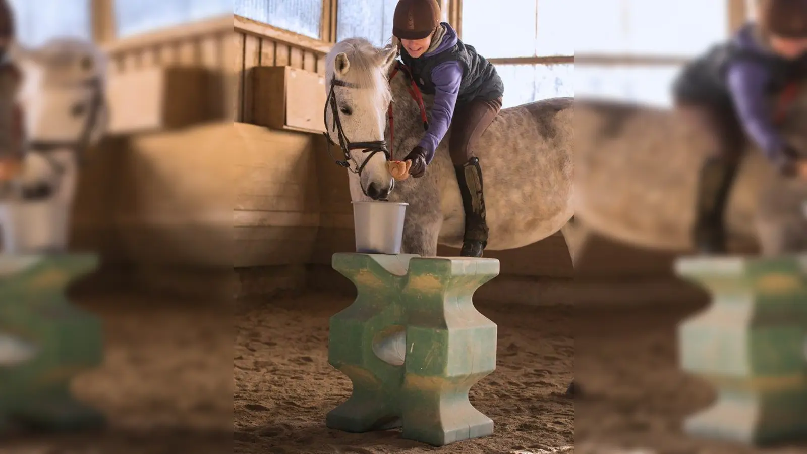 Keine Karotte? Dieses Pony hoffte auf einen anderen Fund, den die Reiterin hier herausangelte. (Foto: Reit- und Fahrverein)