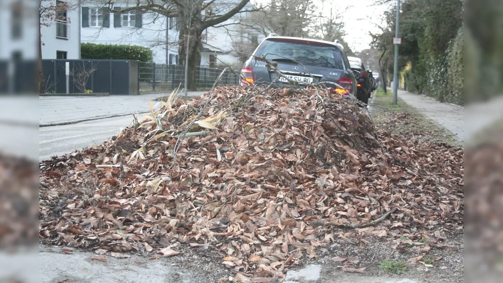 In der Hofmillerstraße liegt noch Ende März das Laub vom letzten Herbst. (Foto: job)