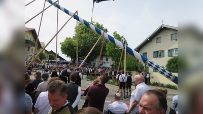 Mit vereinten Kräften wurde am 1. Mai auch in Oberpframmern der neue Maibaum aufgestellt.  (Foto: hw)