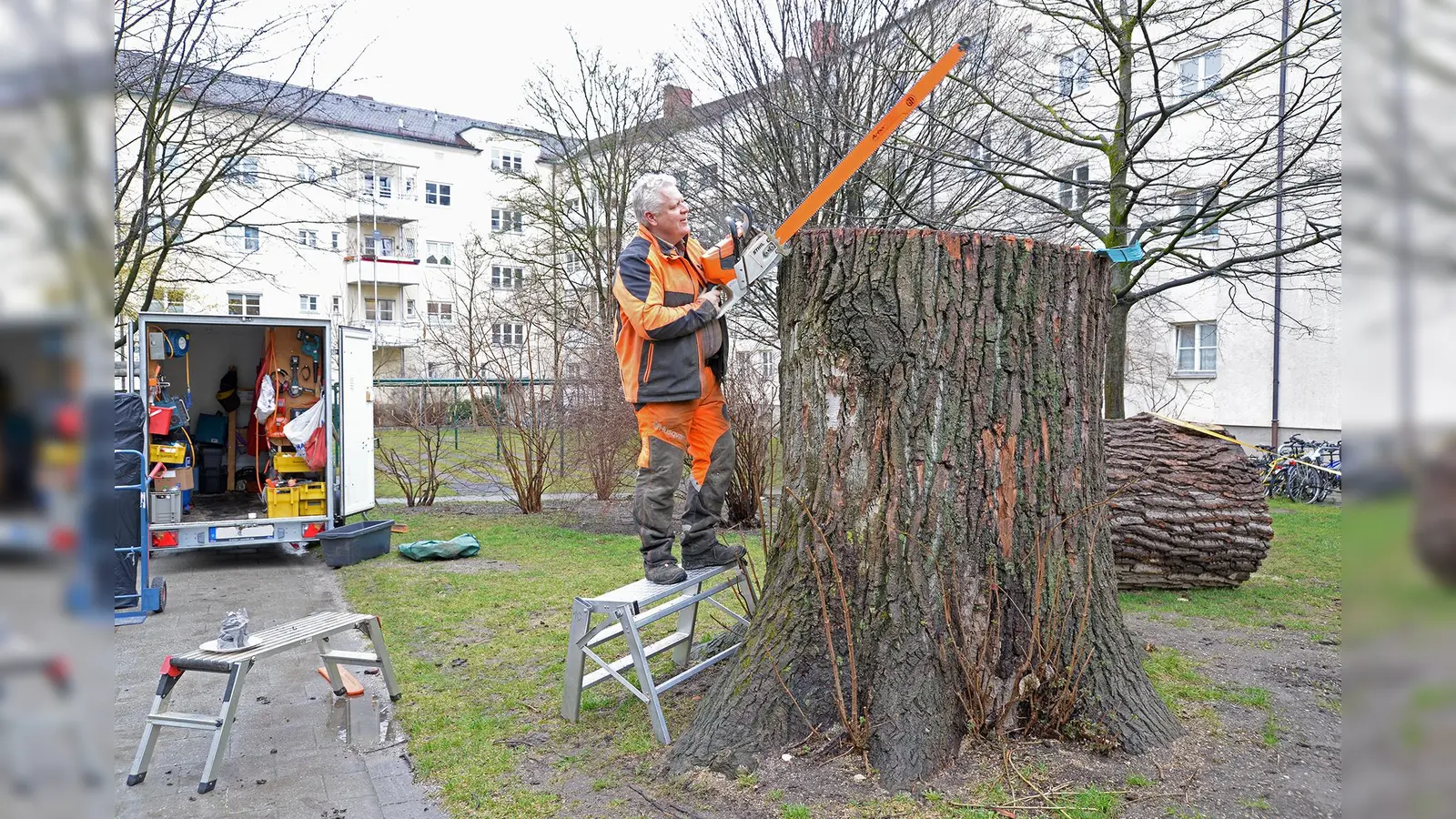 Der Schnitzkünstler Richard Litzinger hat den Pappelstumpf sehenswert umgestaltet. Gegen die Fällung des rund 100 Jahre alten Baums gab es seinerzeit Proteste. (Foto: GEWOFAG)