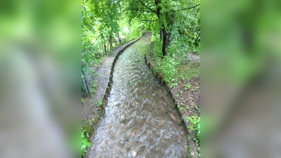 Am 12. August findet eine Hachinger Bach-Führung statt, die Teilnahme ist kostenfrei.  (Foto: VA)