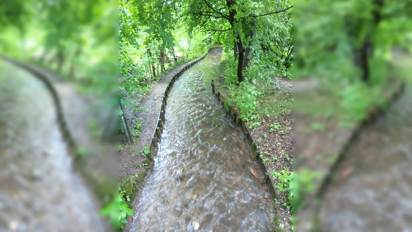 Am 12. August findet eine Hachinger Bach-Führung statt, die Teilnahme ist kostenfrei.  (Foto: VA)