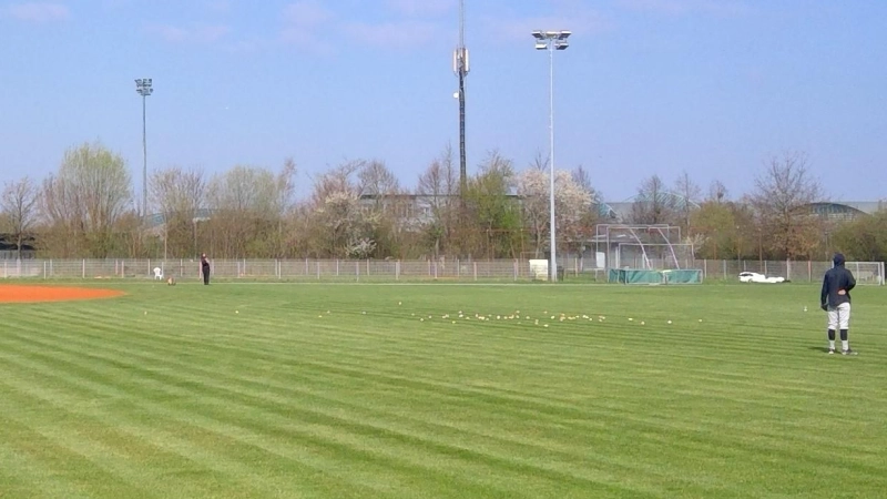 Im Sport- und Freizeitpark Eglfing ist regelmäßig die Baseball-Bundesliga zu Gast. (Archivbild: bas)