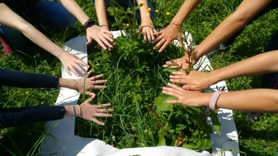 Auch viele Kinder haben sich an der Ausstellung "wERDschätzung" beteiligt. (Foto: VA)