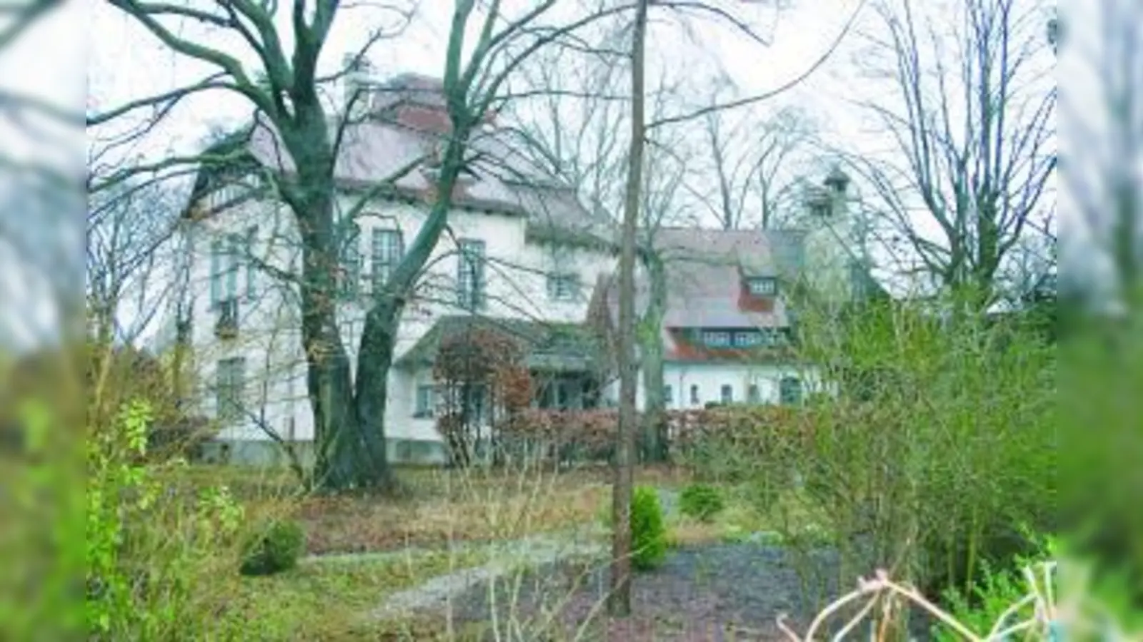 Rettungsversuch gescheitert: Insgesamt sollen 20 Bäume auf dem Grundstück der Riemerschmid-Villa gefällt werden. (Foto: Archiv)