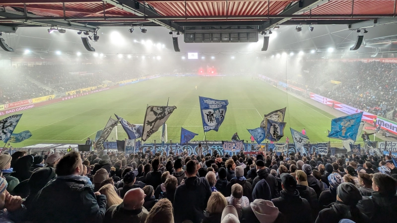 Enttäuscht im Nebel: Löwenanhang in Regensburg. (Foto: M. Forster)