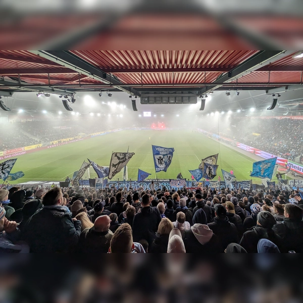 Enttäuscht im Nebel: Löwenanhang in Regensburg. (Foto: M. Forster)