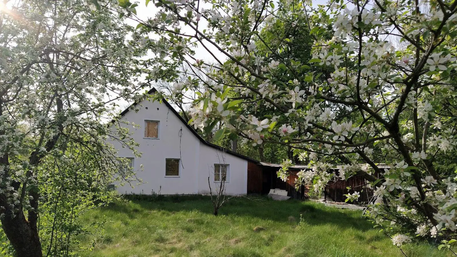 Der Eggarten im Münchner Norden ist eine über 100 Jahre alte Gartensiedlung mit altem Baumbestand.  (Foto: DSD)