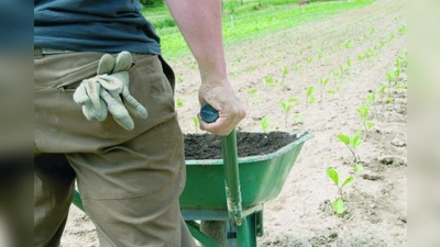 Gerade im Niedriglohnsektor werden auffallend of sittenwidrige Löhne gezahlt. (Foto: photos.com)