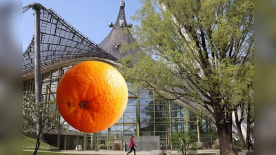 So oder so ähnlich könnte Andy Warhols Plan, die Rückwand der Olympia-Schwimmhalle zu verschönern, vielleicht ausgesehen haben.  (Grafik: red, mha)
