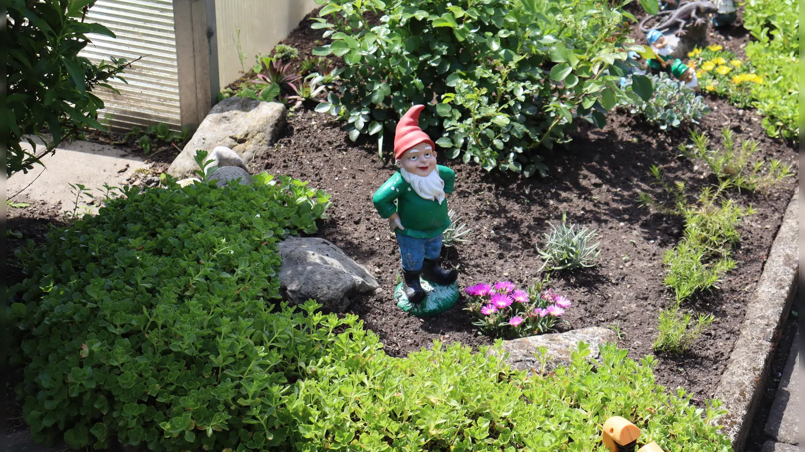 Hier fühlt sich auch der Gartenzwerg so richtig wohl: Kleingärten sind der ideale Ort für private innerstädtische Naherholung.  (Foto: bas)