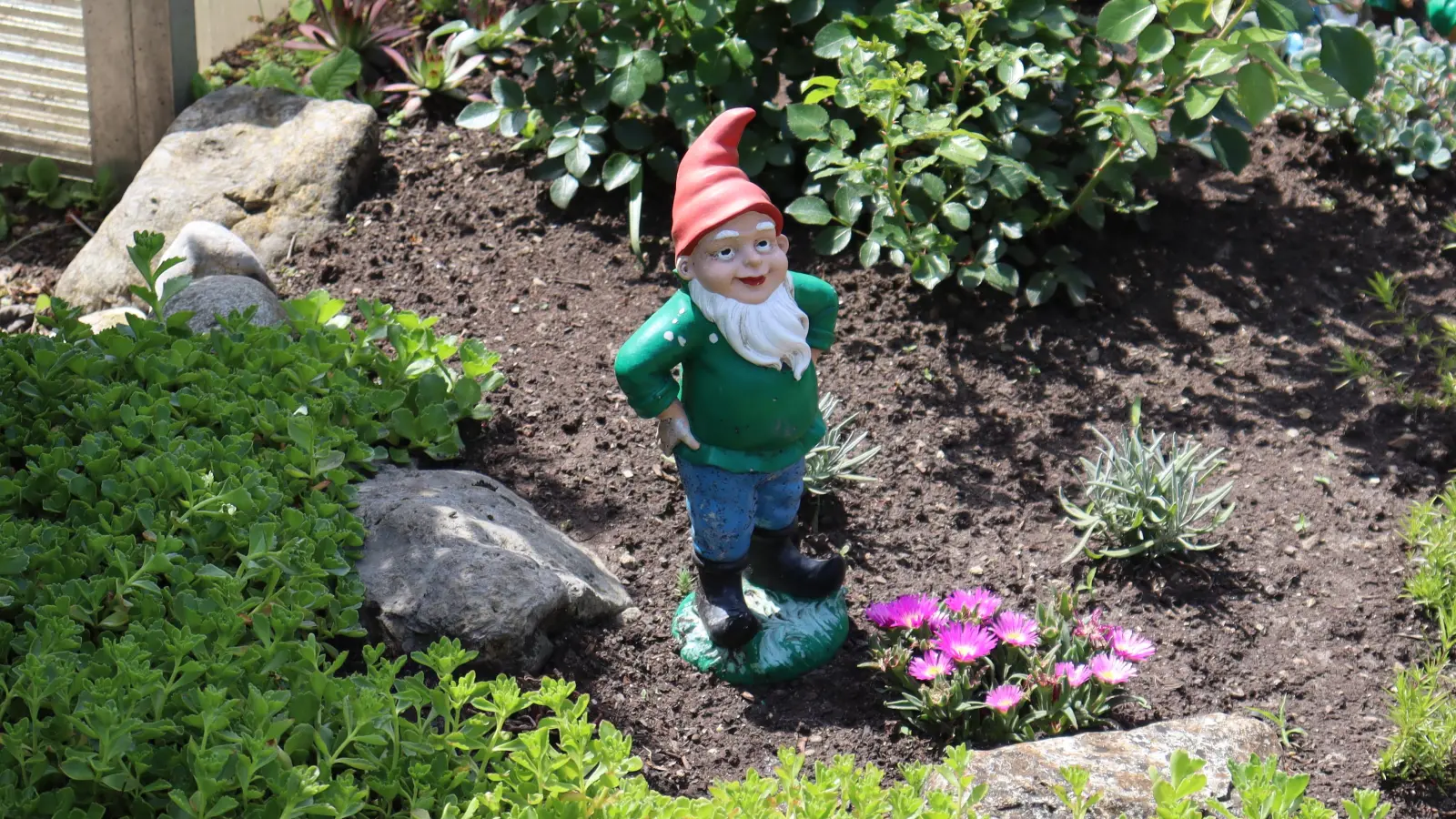 Hier fühlt sich auch der Gartenzwerg so richtig wohl: Kleingärten sind der ideale Ort für private innerstädtische Naherholung.  (Foto: bas)