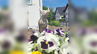 Der Stier im Vorgarten eines landwirtschaftlichen Anwesens erinnert an die Vergangenheit Feldmochings mit Stierzucht und Mastviehhaltung.  (Foto: © Riadastoana, Monika Nitschke)