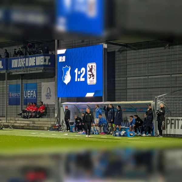 Erfolg in Sinsheim: Münchner Löwen. (Foto: M. Forster)