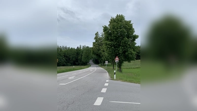 Auf dem Foto ist ein Abschnitt der St 2063 südlich der Einmündung „Am Neuland“ zu sehen. Hier entsteht rechts hinter den Bäumen der neue Geh- und Radweg. (Foto: Staatliches Bauamt Weilheim)