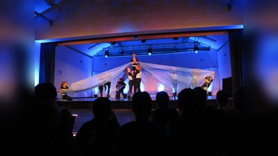 In der Tanzabteilung des TSV Pliening-Landsham sind schon mehrere Titel erworben worden, (Foto: Verein)