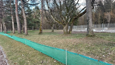 Entlang vieler Amphibienwanderwege sind Zäune aufgespannt, hier gilt es, besonders langsam zu fahren. (Foto: hw)