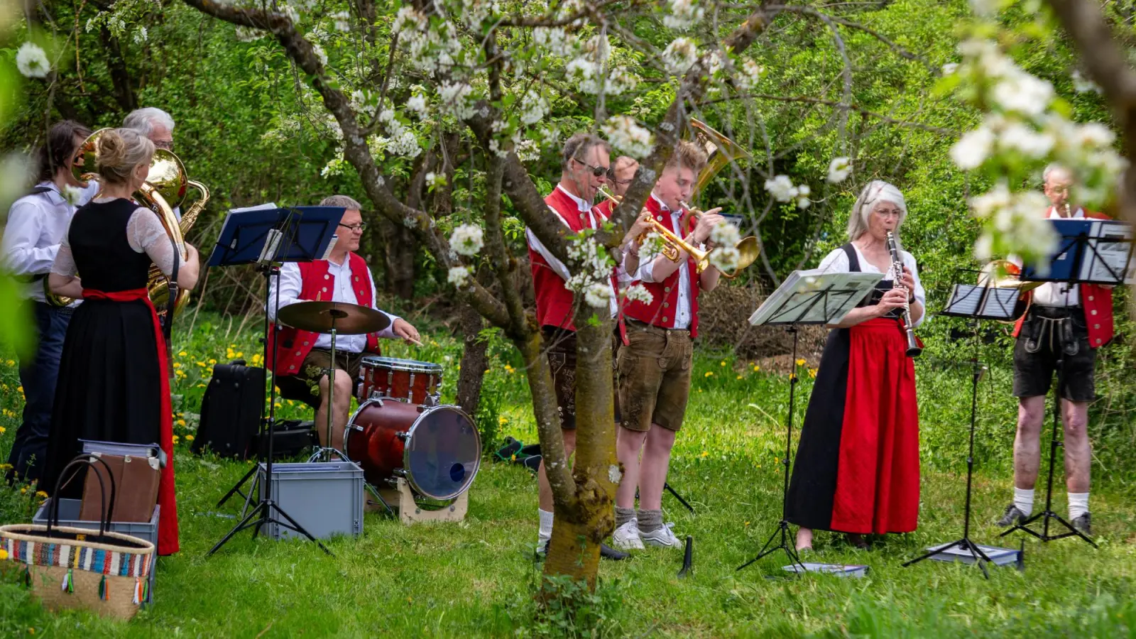 Ein stimmungsvolles Konzert unter blühenden Bäumen gab es mit der Blaskapelle Gilching. (Foto: OGV)