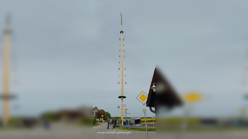 Das neue Prachtstück in Langengern. (Foto: Braxenclub Langengern)