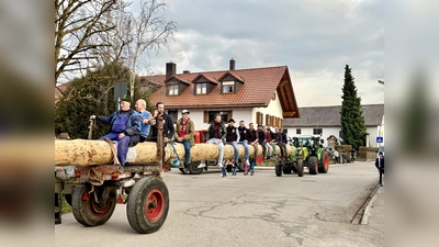 Der Maibaum kam Ende März nach Aubing und wird nun für die Maifeierlichkeiten hergerichtet. Das Maifest beginnt am 1. Mai um 10 Uhr. (Foto: Ulrike Seiffert)