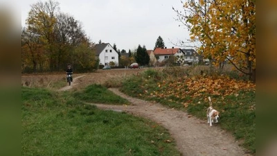 Auf diesem Trampelpfad zwischen Professor-Eichmann-Straße und Wöhlerstraße in Obermenzing soll nach dem Wunsch des Bezirksausschusses Pasing/Obermenzing bald ein breiter Rad- und Fußweg inklusive Beleuchtung entstehen. (Foto: US)