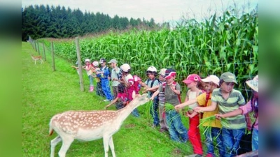 Die Ferienangebote sind vielfältig: Bei der vom Stadtjugendamt angebotenen Bauernhoffreizeit konnten die Kinder zum Beispiel Rehe füttern. (Foto: Stadtjugendamt)
