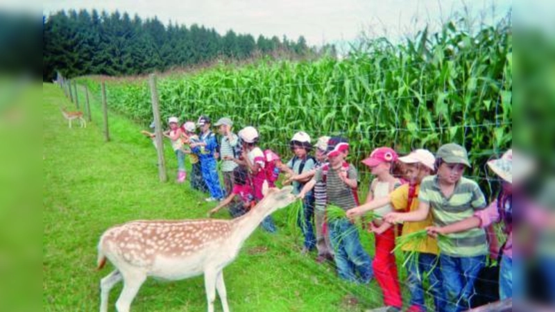 Die Ferienangebote sind vielfältig: Bei der vom Stadtjugendamt angebotenen Bauernhoffreizeit konnten die Kinder zum Beispiel Rehe füttern. (Foto: Stadtjugendamt)