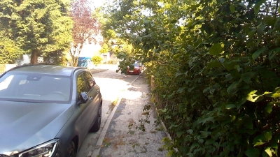 So sollte es nicht sein: Behinderungen durch Überwuchs auf dem Gehweg und der Fahrbahn. (Foto: Stadt Starnberg)