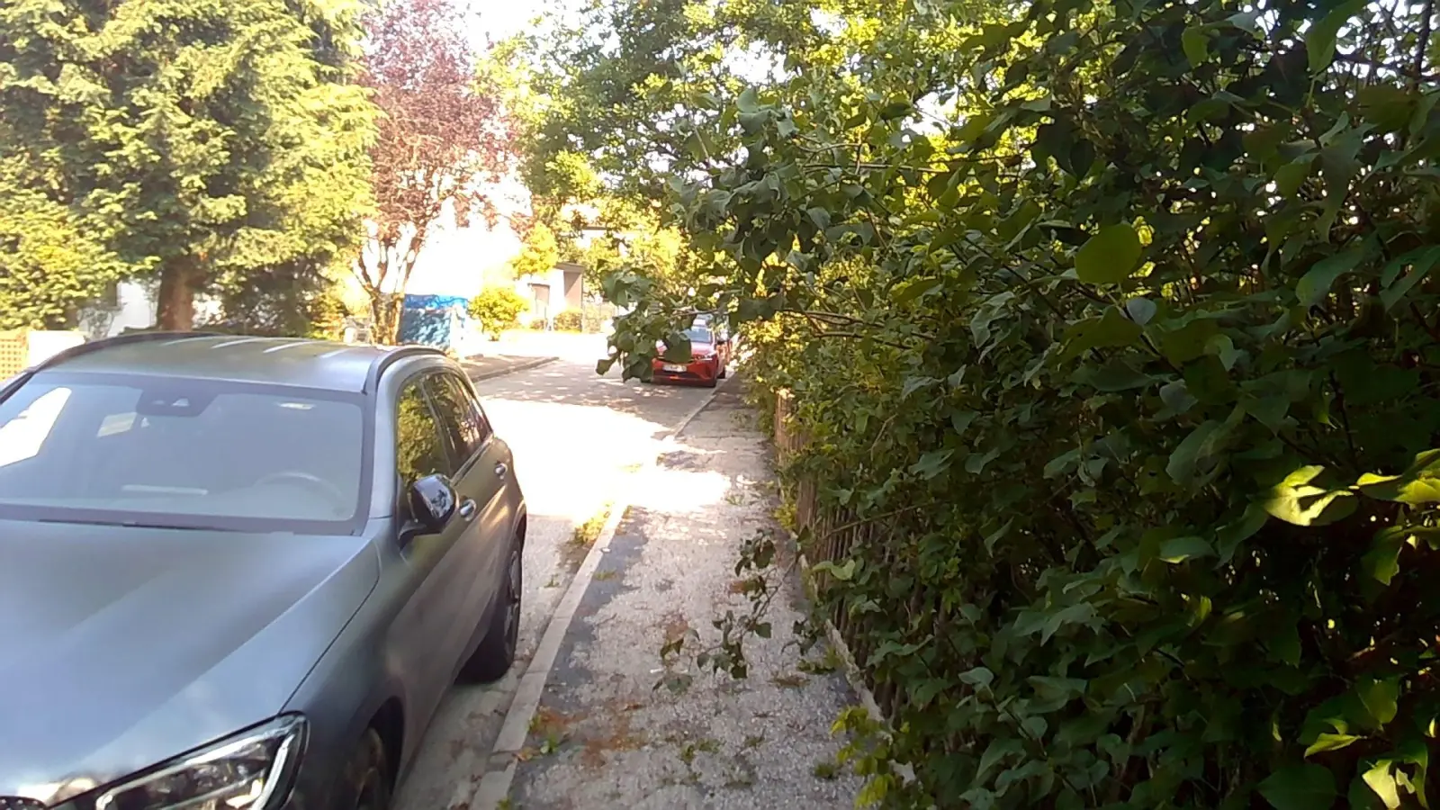 So sollte es nicht sein: Behinderungen durch Überwuchs auf dem Gehweg und der Fahrbahn. (Foto: Stadt Starnberg)