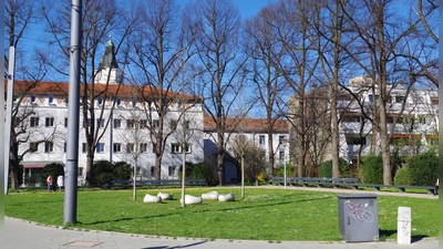Auf dieser Wiese am Romanplatz, gegenüber der Haltestelle der Tram 12, würden Bürger gerne einen Wochenmarkt etablieren. (Foto: kö)