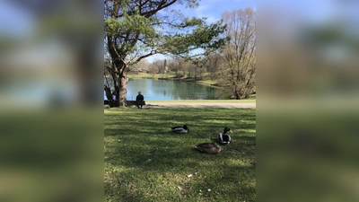 In einer Symbiose mit dem Lerchenauer See - doch leider bleibt viel Unrat liegen. (Foto: Daniel Mielcarek)