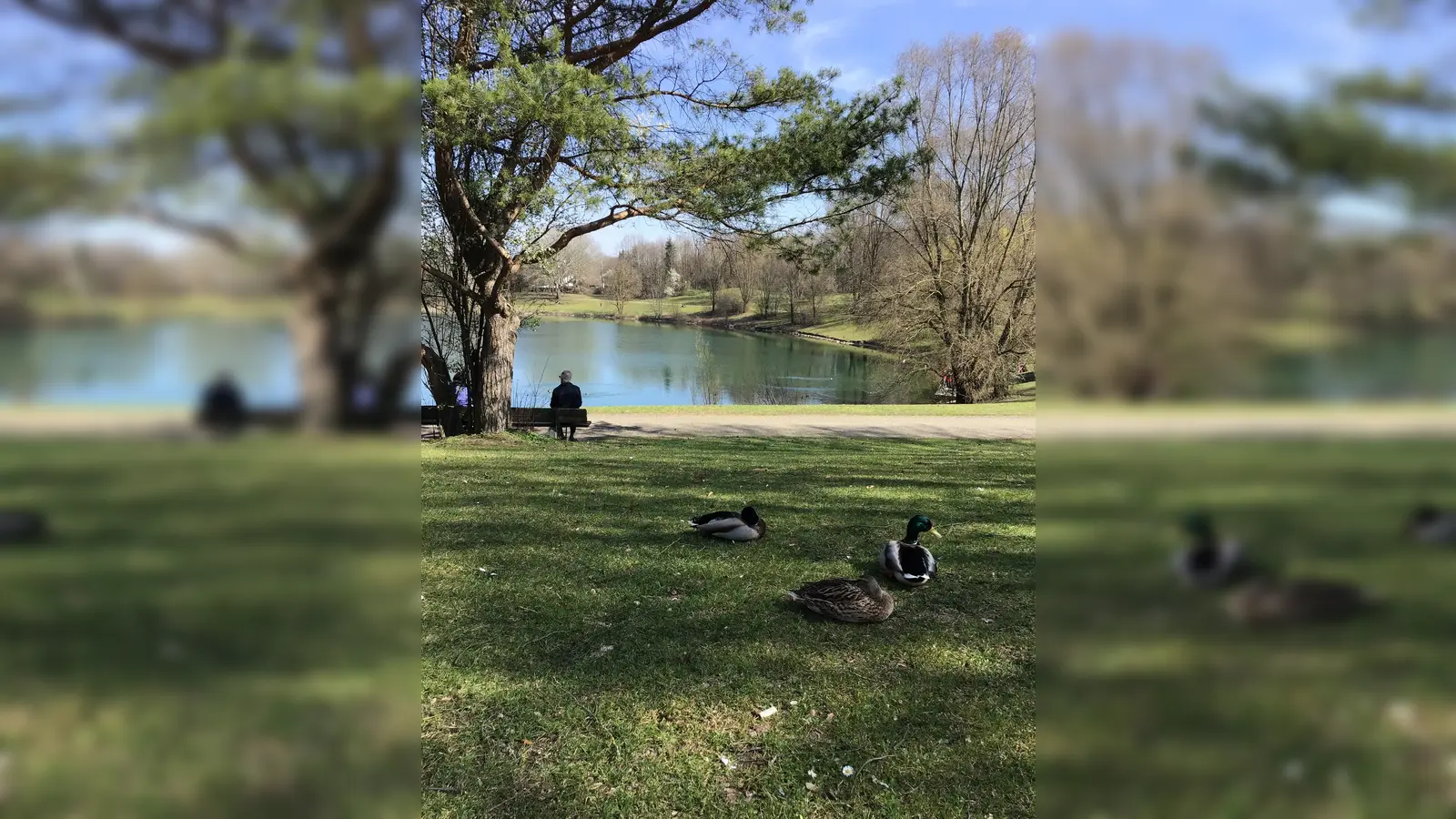 In einer Symbiose mit dem Lerchenauer See - doch leider bleibt viel Unrat liegen. (Foto: Daniel Mielcarek)