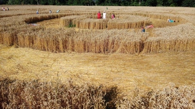 Foto: Conradt