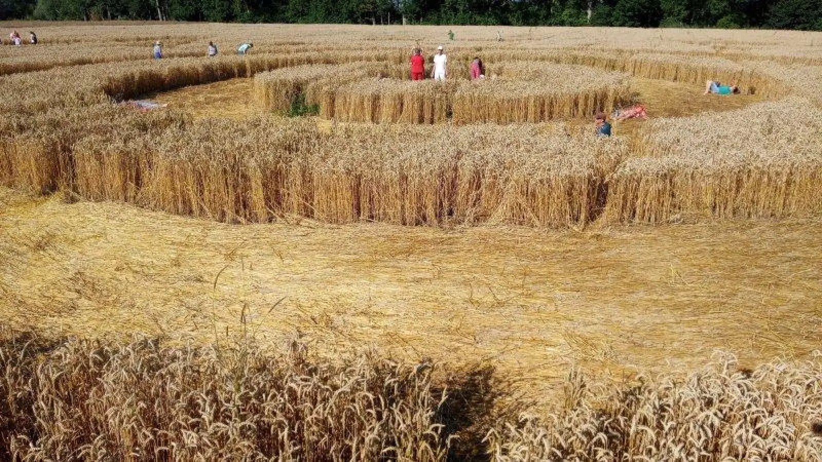 Foto: Conradt